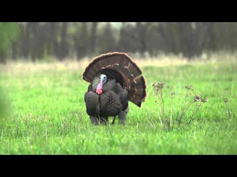 AXF Lessers Outfitter Decoy Pack