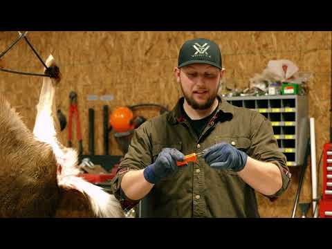 Click-N'-Cut Hunters Fixed Blade Hunting Knife