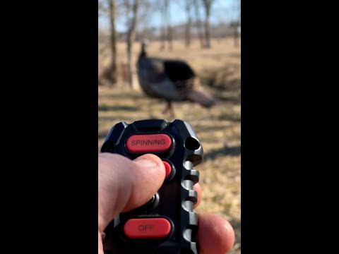 X-Factor Decoy Motion System