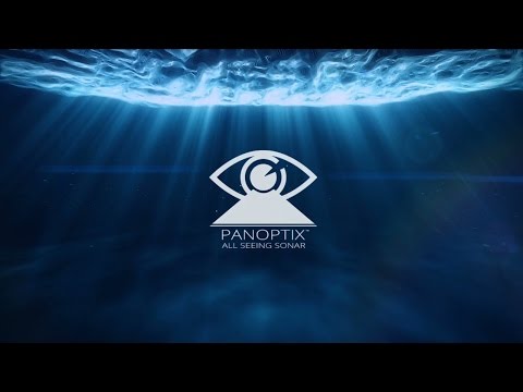 Panoptix PS30 Transducer