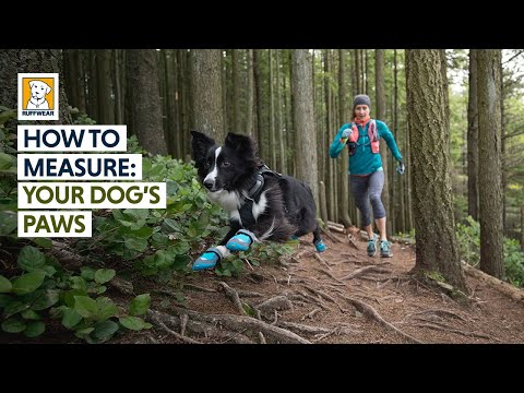 Grip Trex All-Terrain Dog Boots - 2/PK