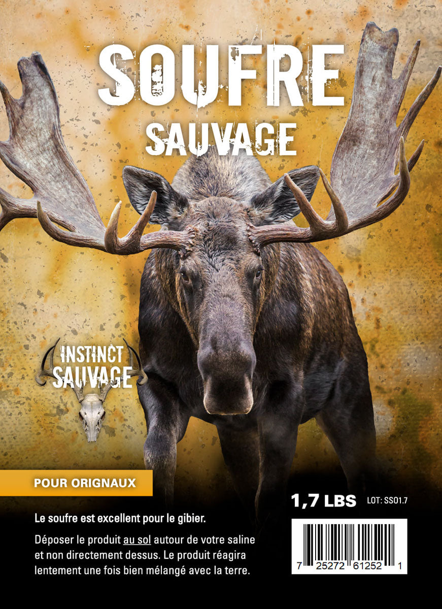 Soufre Sauvage Moose Minerals - 0.77 kg