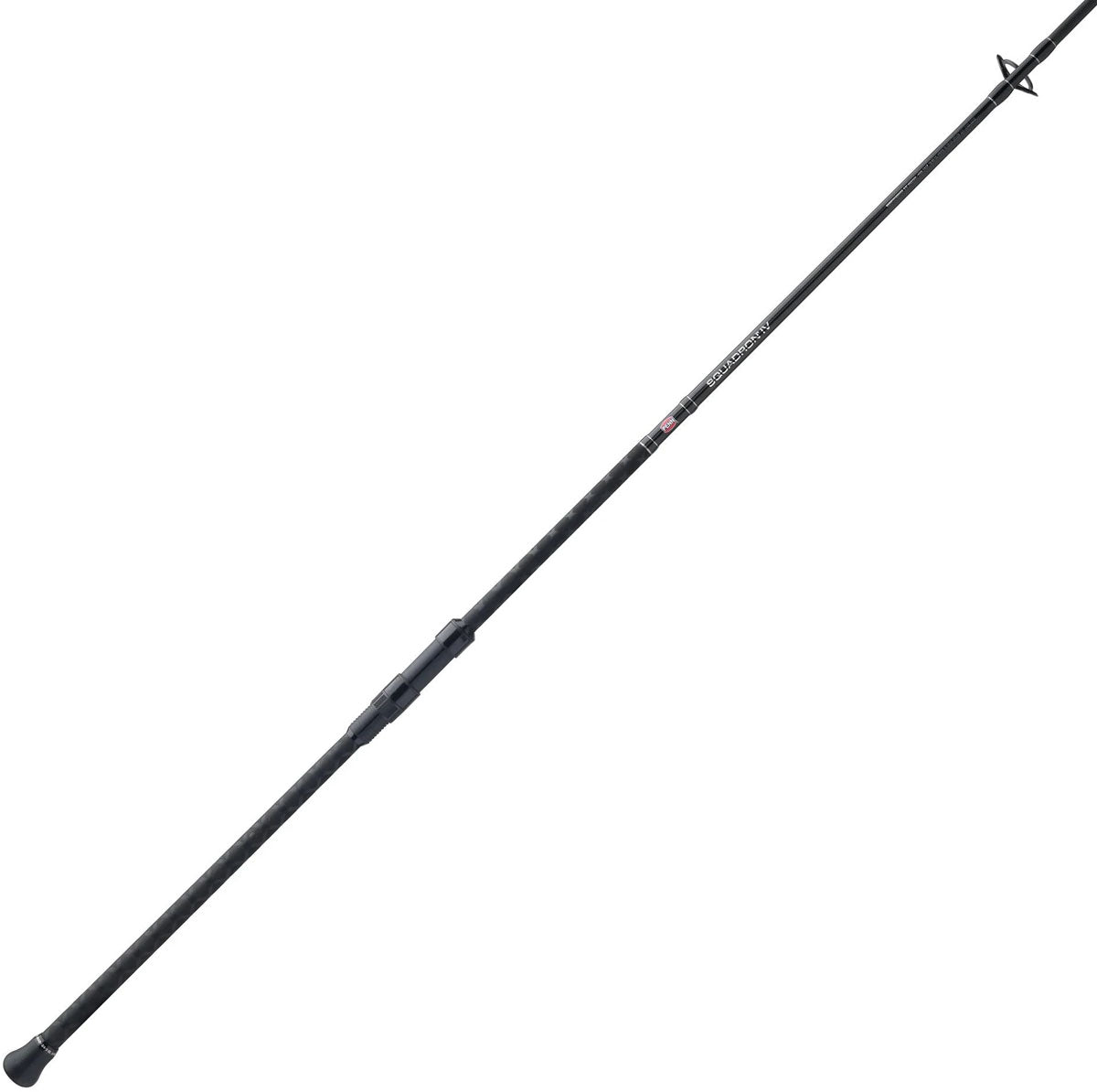 Squadron IV Surf Spinning Rod - 2 pcs