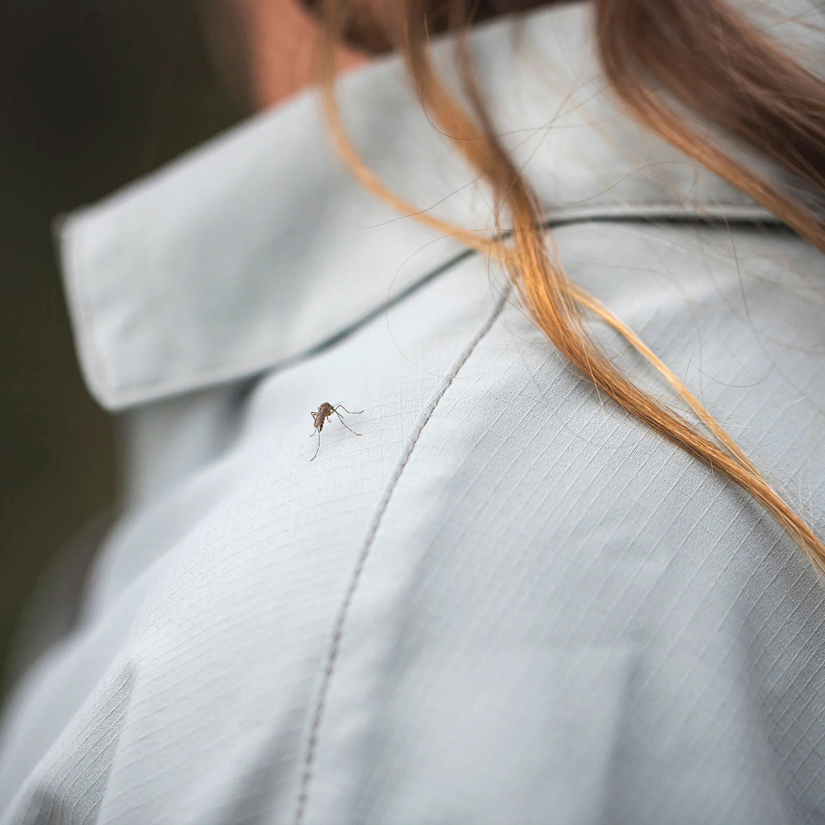 Expedition III Shirt - Women's