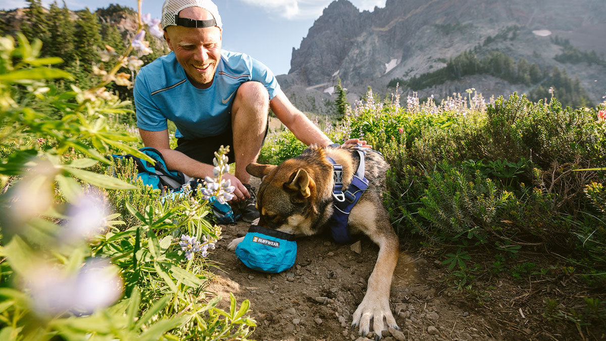 Trail Runner Dog Bowl