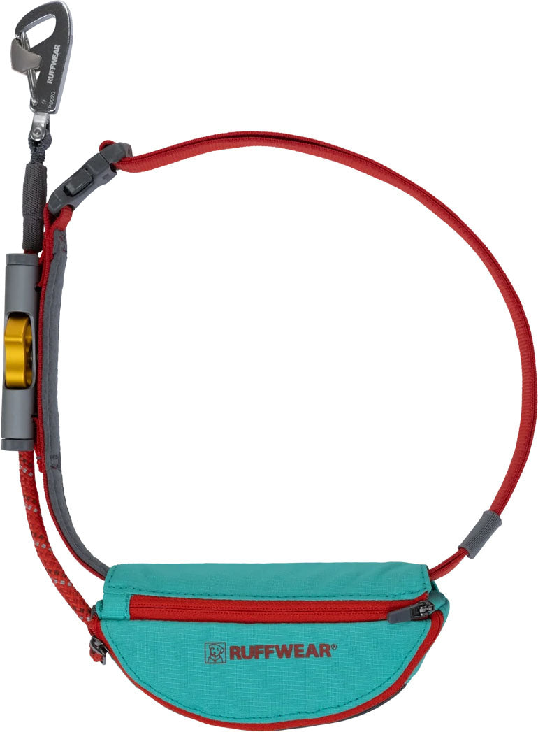 Hitch Hiker Dog Leash 