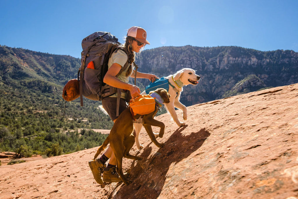 Approach Dog Backpack 