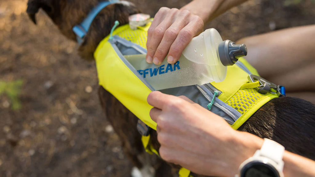 Trail Runner Dog's Running Vest