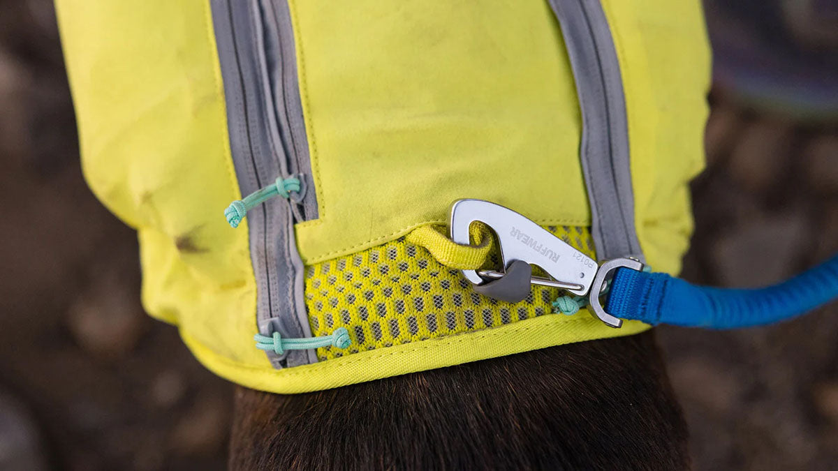 Trail Runner Dog's Running Vest