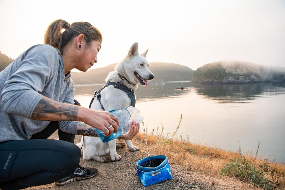 Quencher Collapsible Dog Bowl - Medium