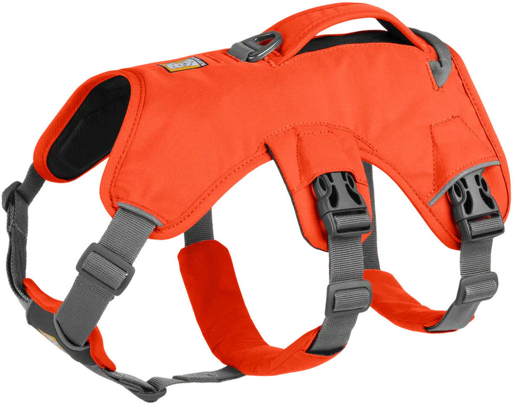 Web Master Dog Harness with Handle