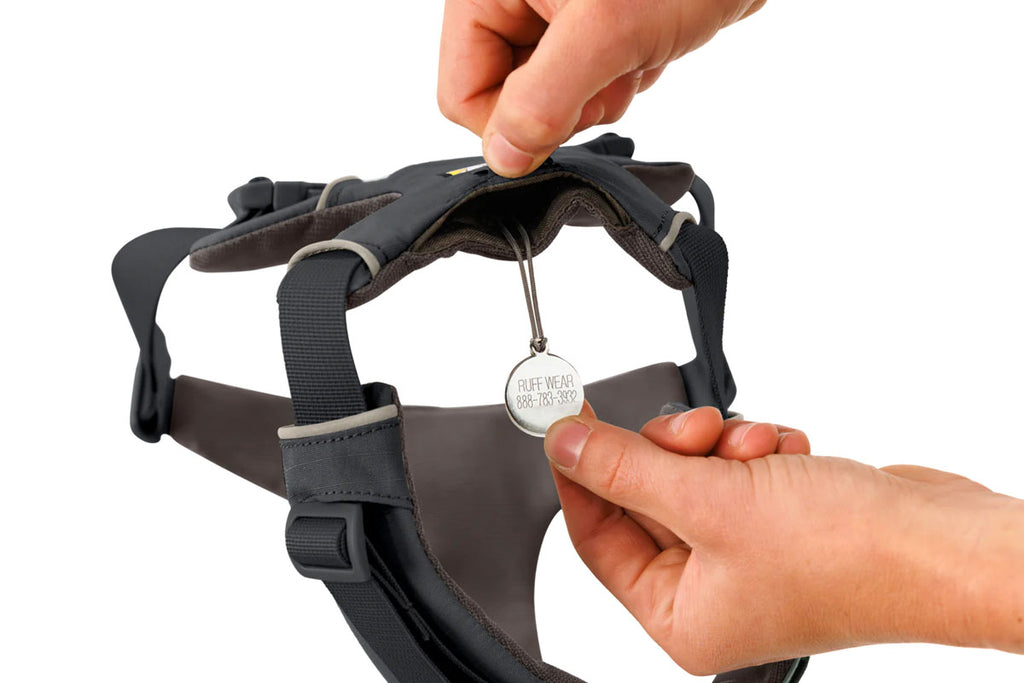 Front Range Dog Harness
