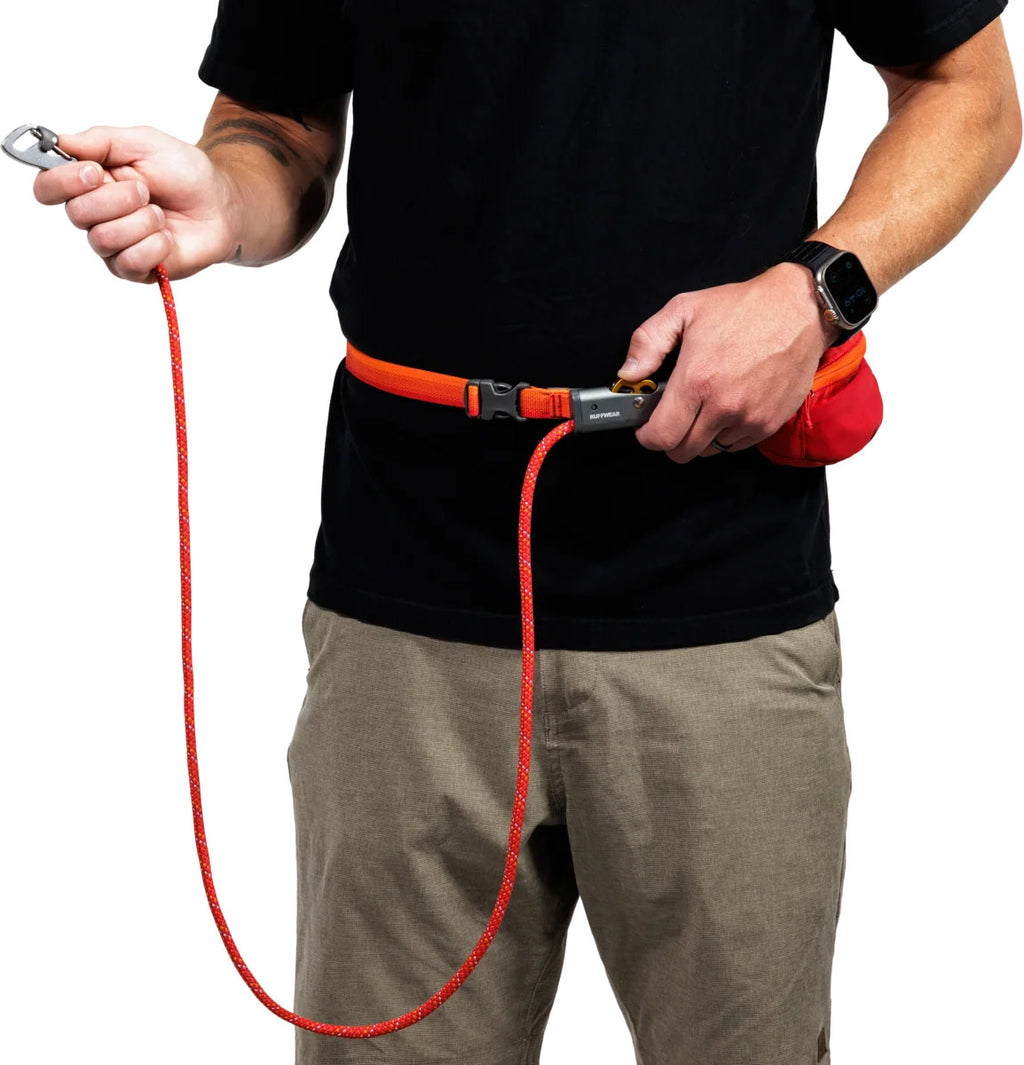 Hitch Hiker Dog Leash 