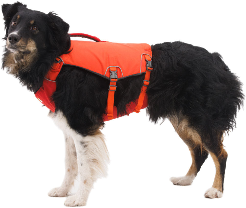 Confluence Dog's PFD
