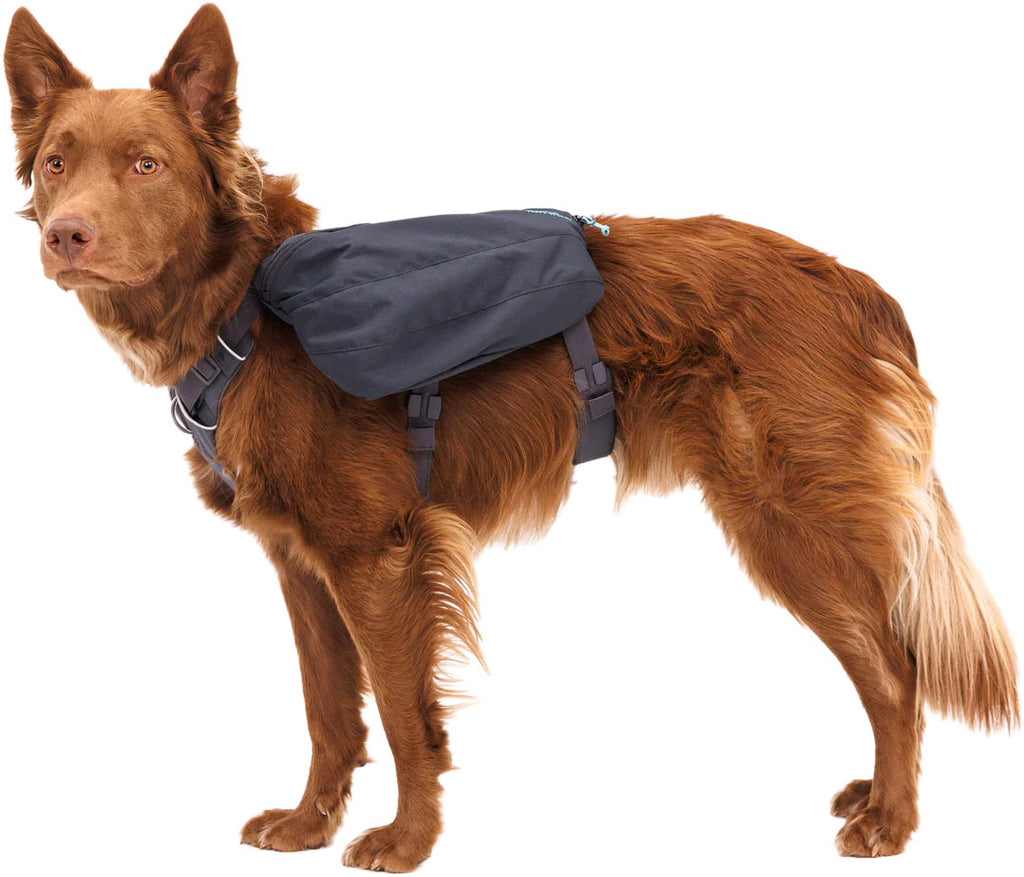 Front Range Dog Backpack
