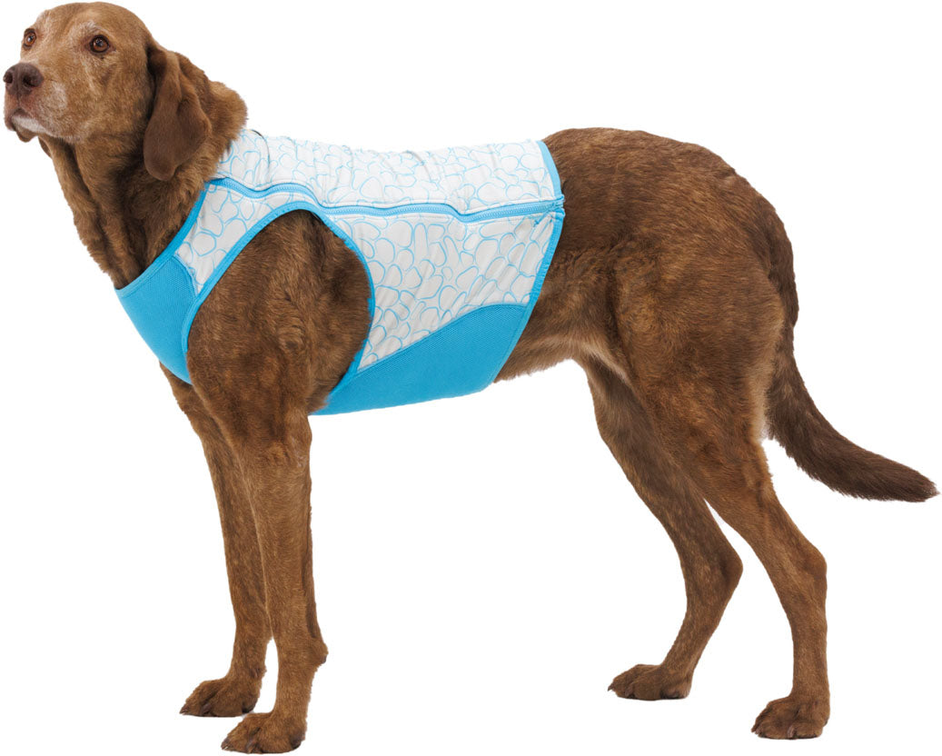 Swamp Cooler Dog Cooling Harness
