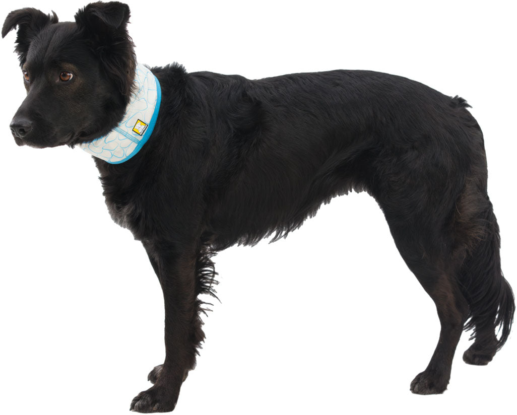 Swamp Cooler Dog Cooling Neck Gaiter