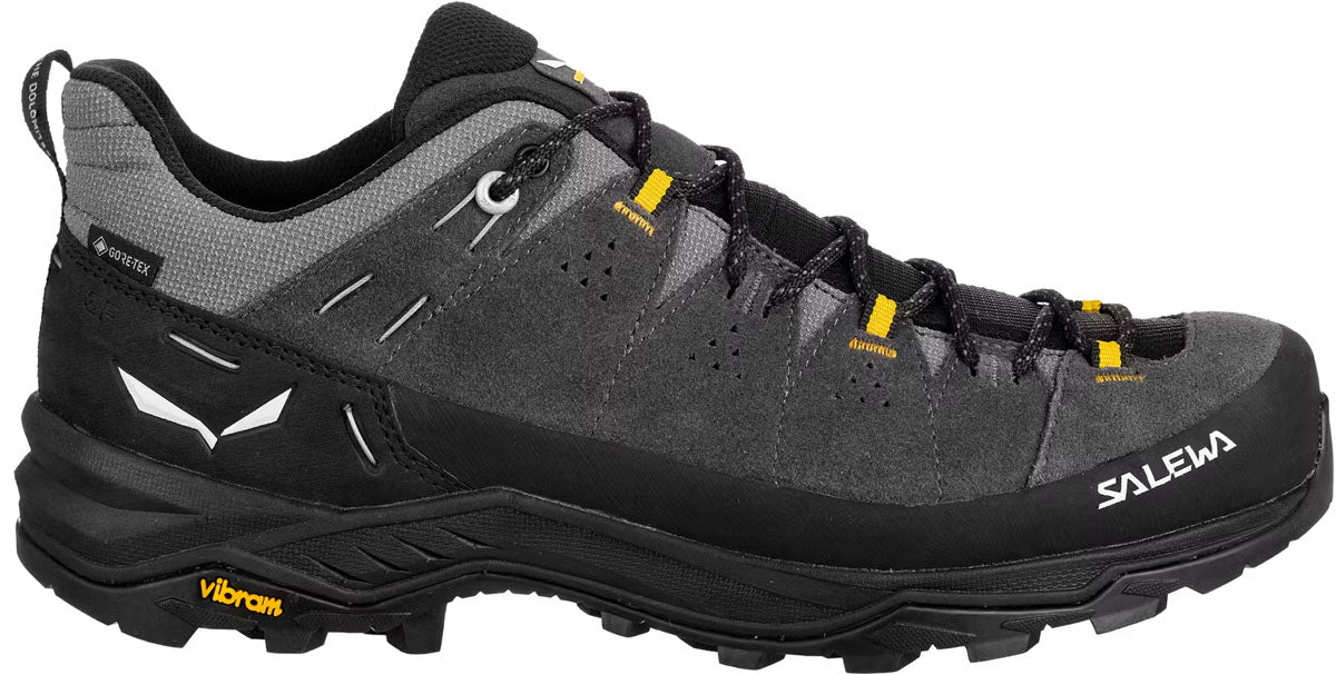 ALP Trainer 2 Gore-Tex Hiking Shoes - Men's