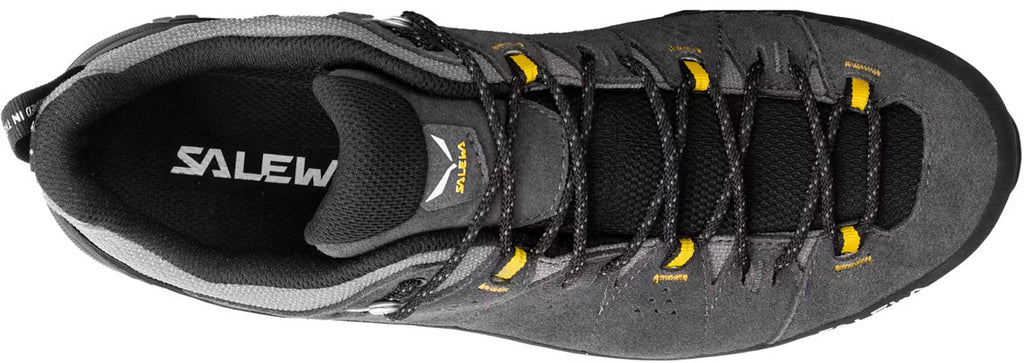 ALP Trainer 2 Gore-Tex Hiking Shoes - Men's