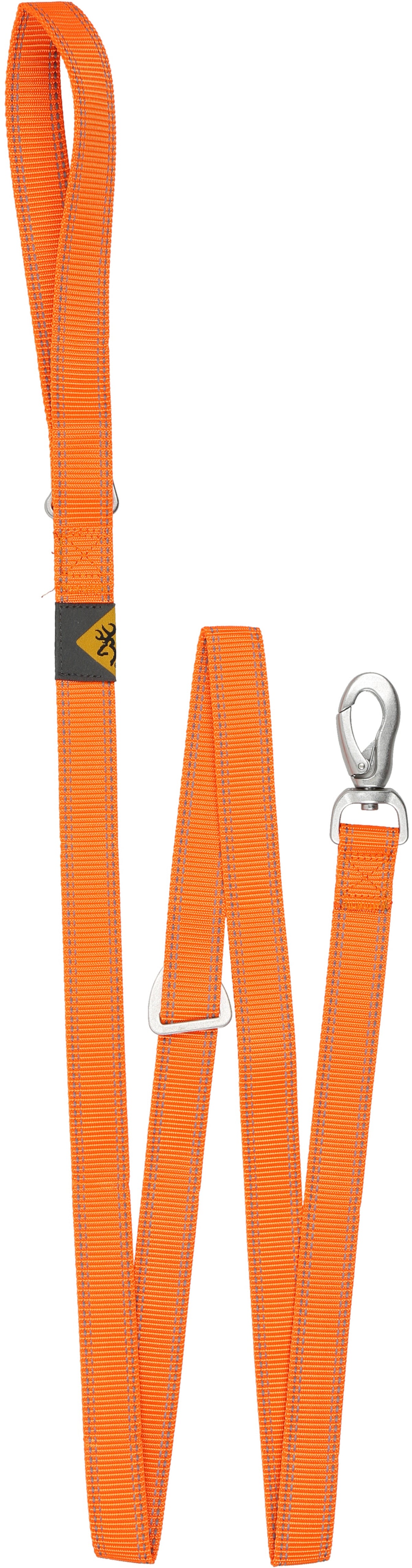 Classic Webbing Leash 1 in x 6 ft
