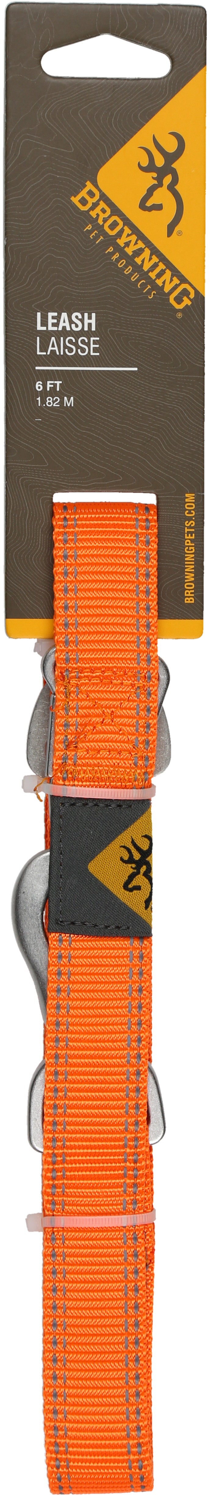 Classic Webbing Leash 1 in x 6 ft