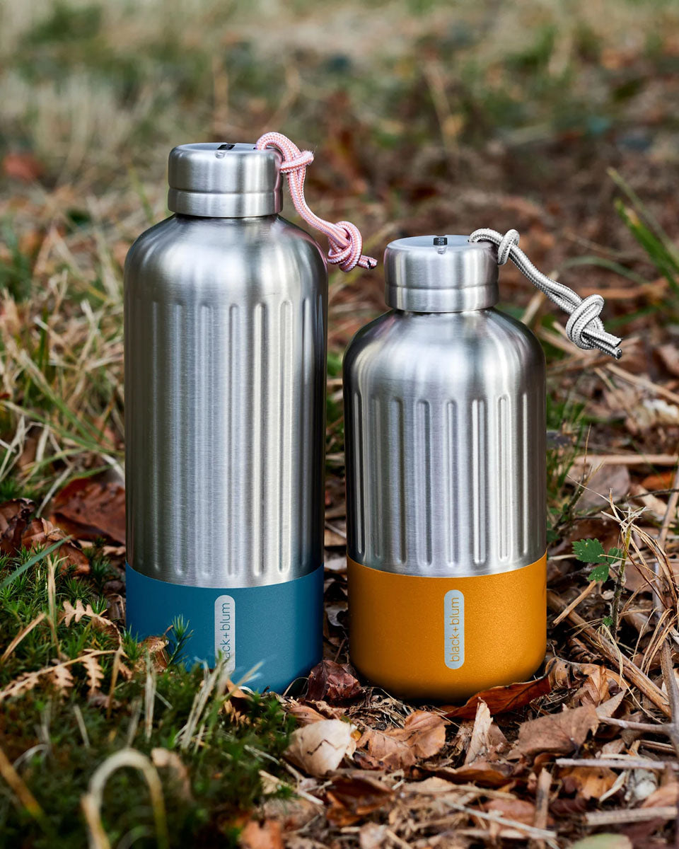 Explorer Stainless Steel Insulated Water Bottle - 650 ml 