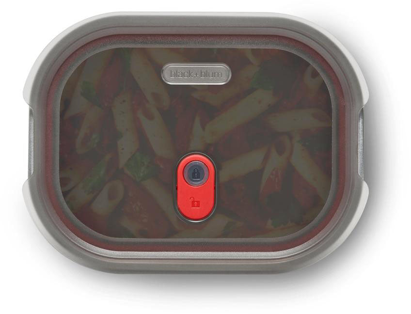 Stainless Steel Food Container - Medium 