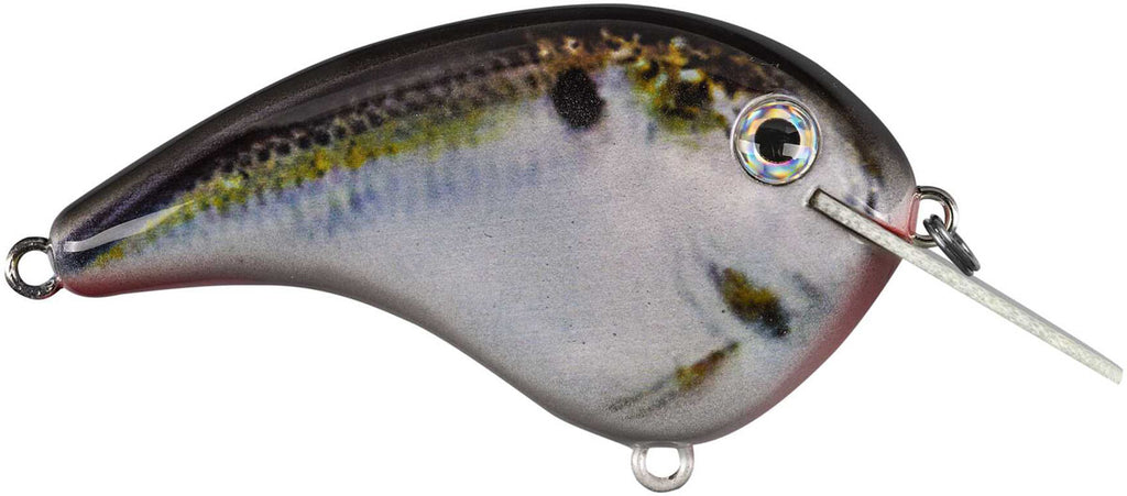 Chick Magnet Crankbait - 2 1/4 in.