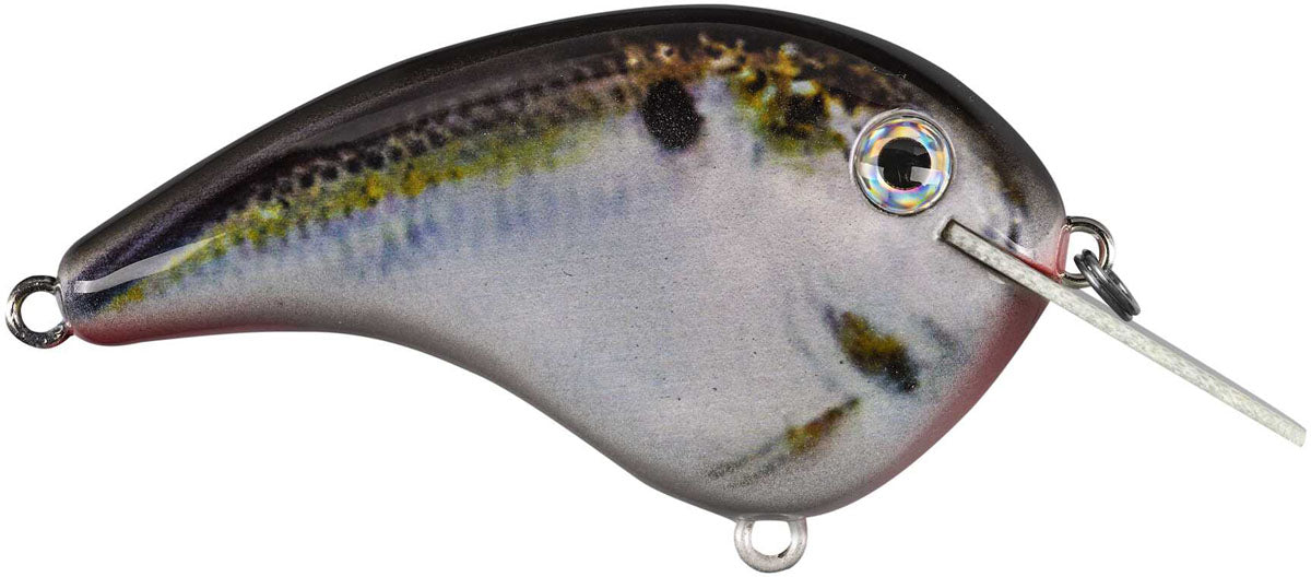 Chick Magnet Crankbait - 2 1/4 in.