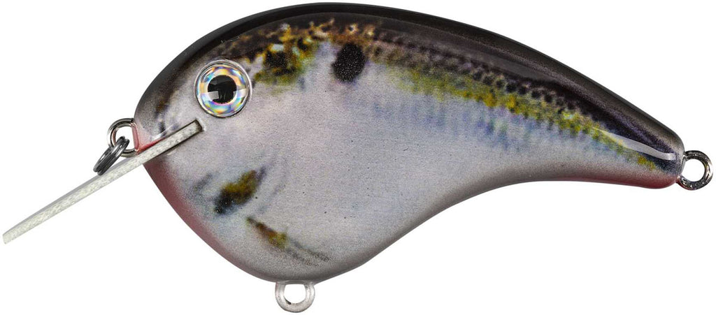 Chick Magnet Crankbait - 2 1/4 in.