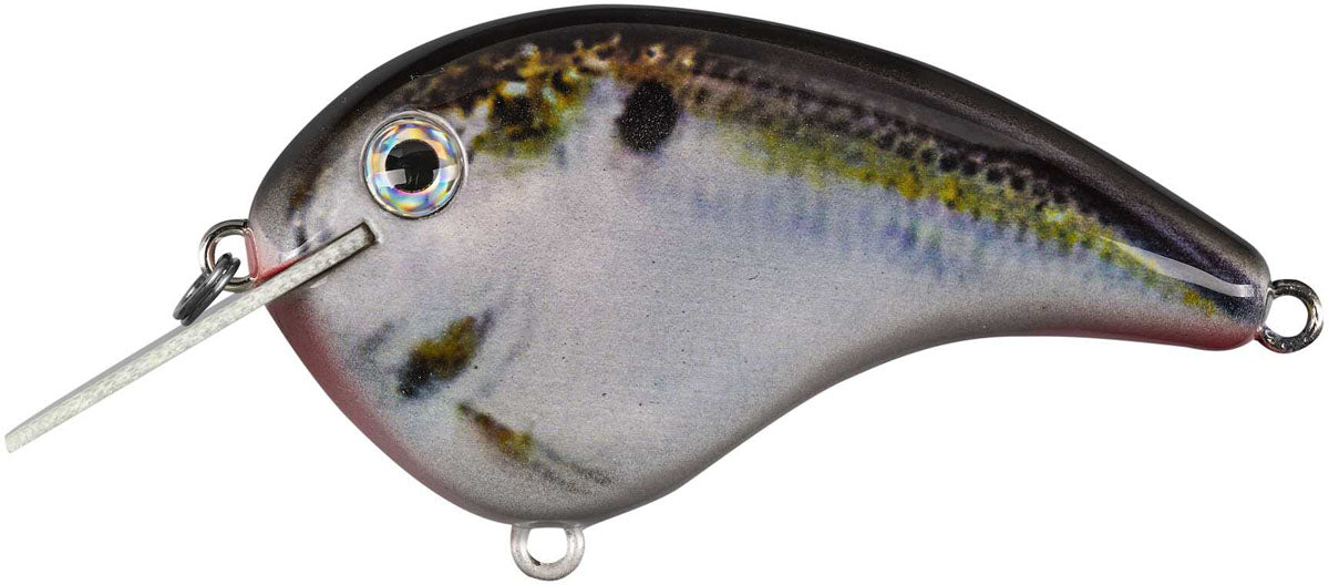 Chick Magnet Crankbait - 2 1/4 in.