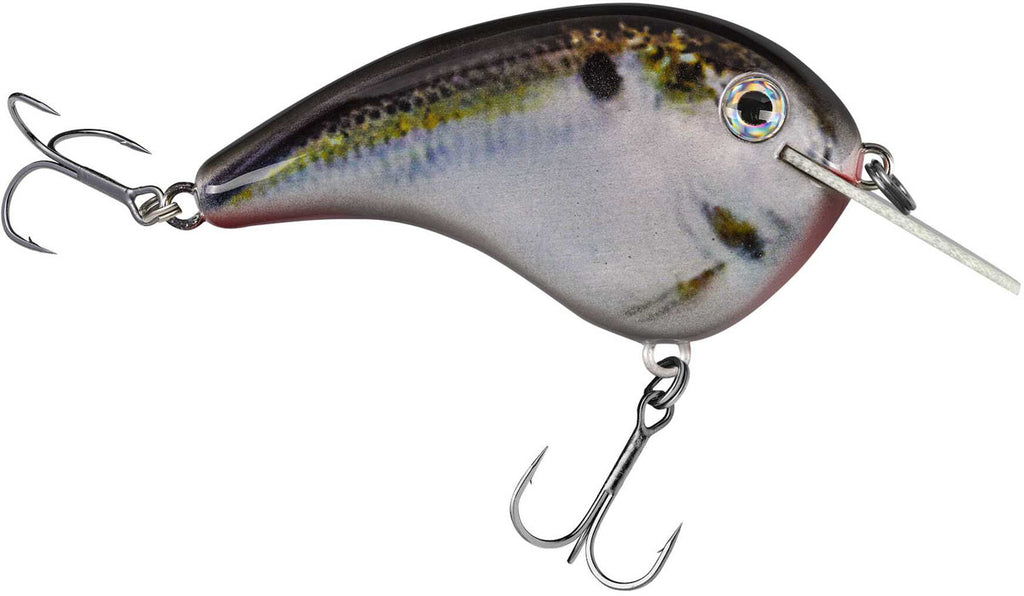 Chick Magnet Crankbait - 2 1/4 in.