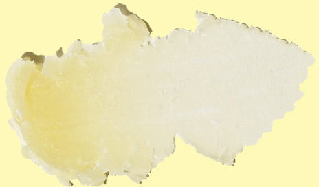 Cocobalm Lip Balm - Ocean Mint