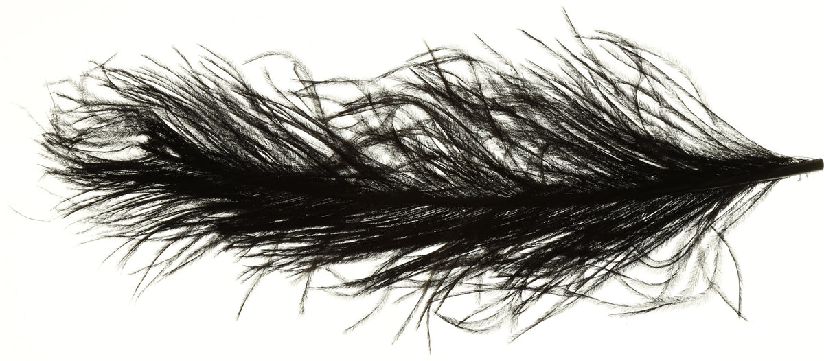 Ostrich Feather