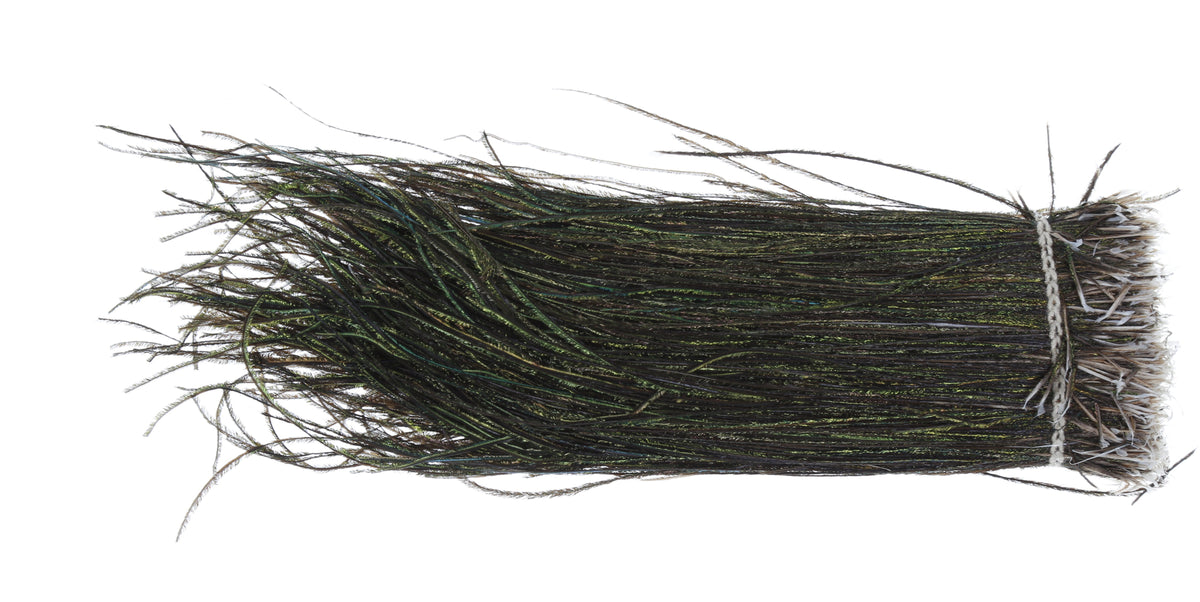 Peacock Hearl