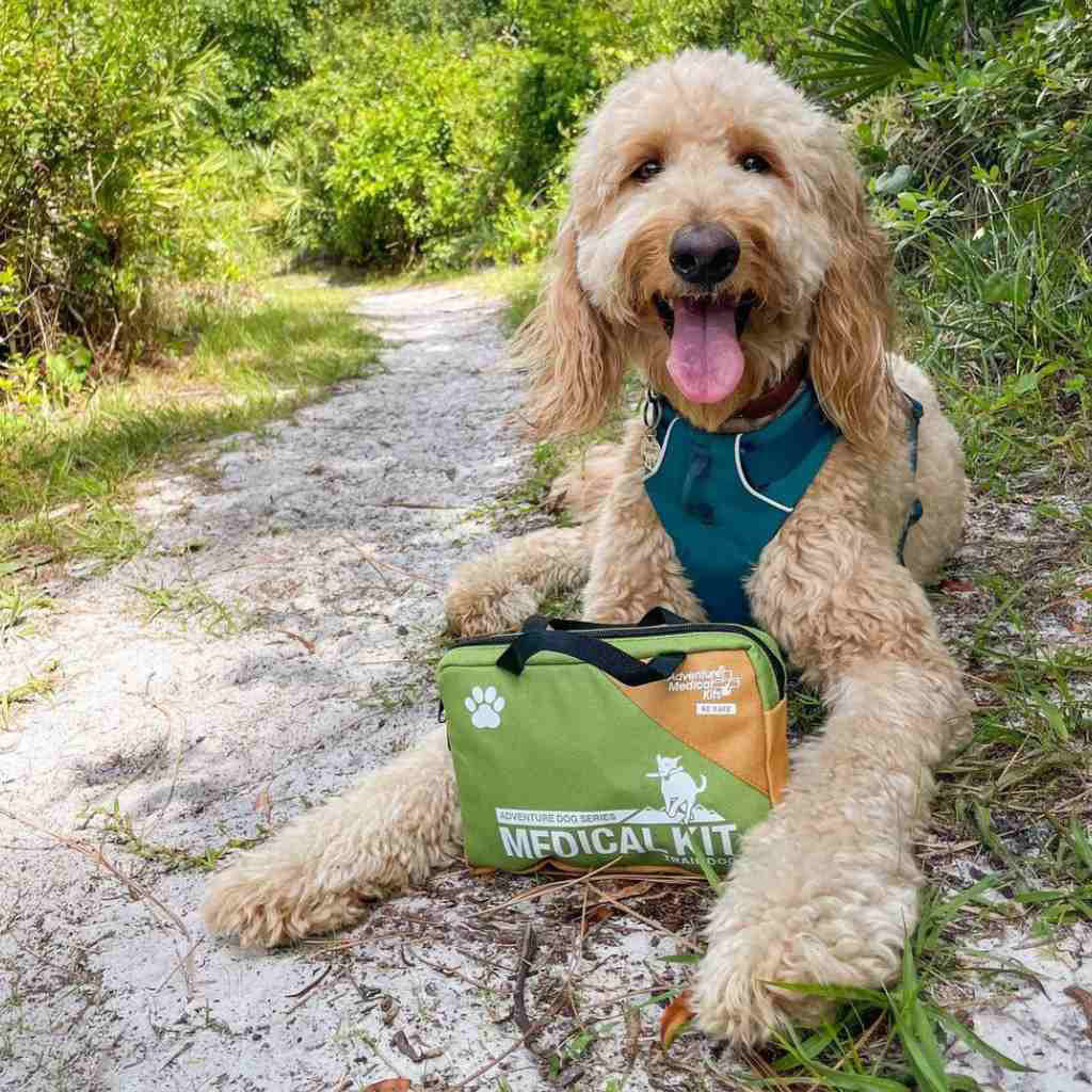 Adventure Dog First Aid Kit - Trail Dog