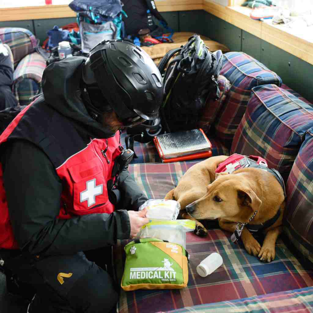 Adventure Dog First Aid Kit - Trail Dog