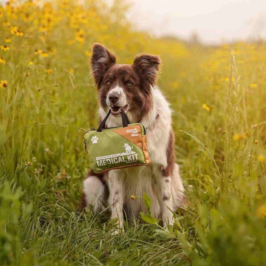 Adventure Dog First Aid Kit - Trail Dog