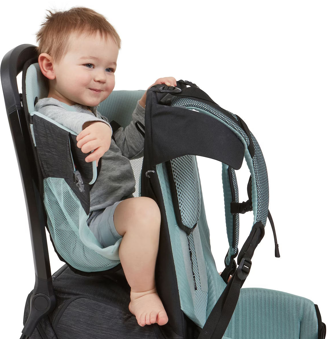 Sapling Baby Carrier