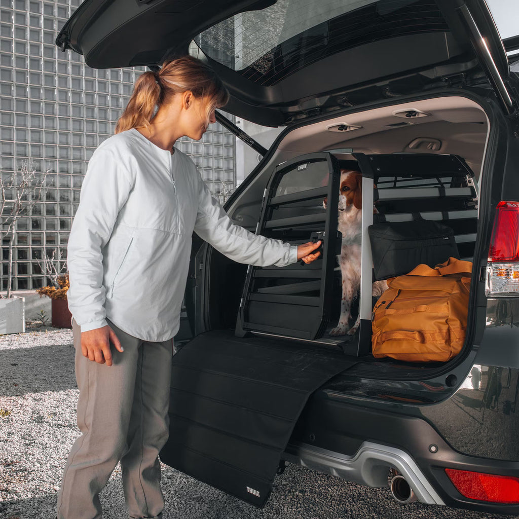 Allax Cars Dog Crate - M