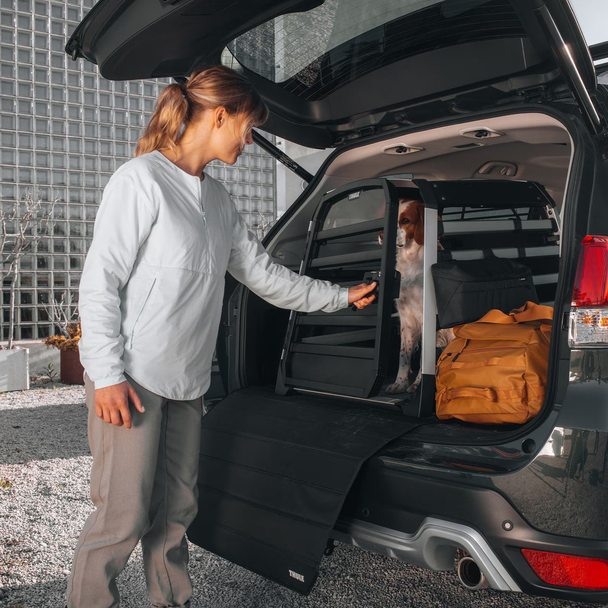 Allax Cars Dog Crate - M