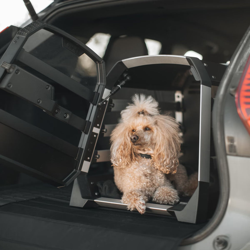 Allax Cars Dog Crate - M