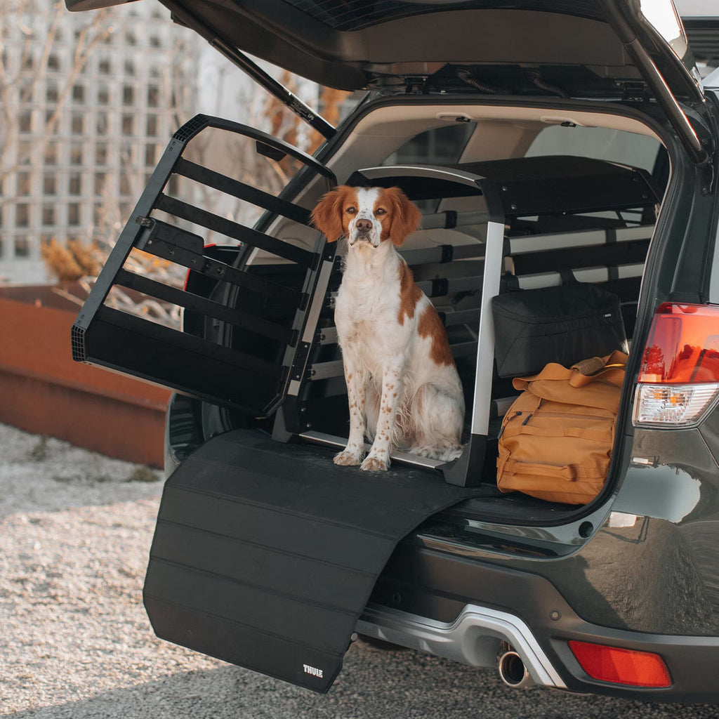 Allax Dog Crate Storage Bag