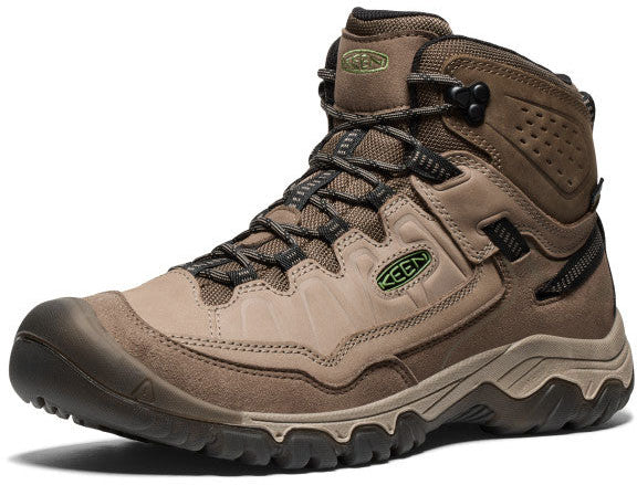 Targhee IV Waterproof Hiking Boots - Men's 