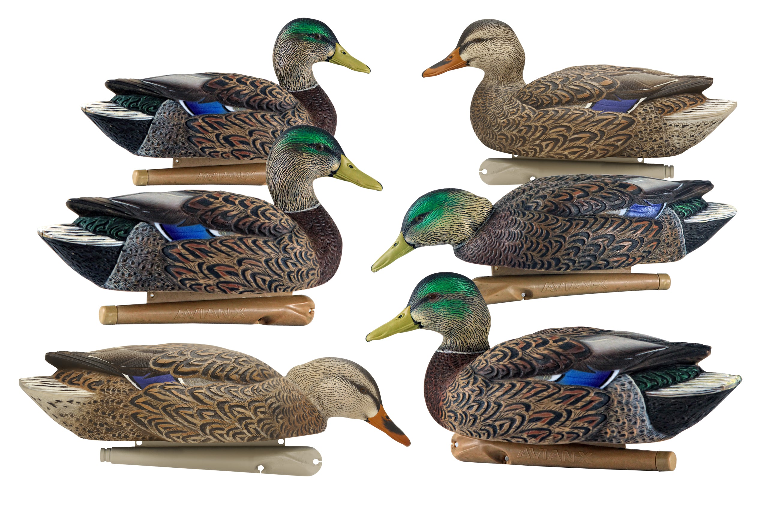 Early Season Mallards Decoys - 6/PK