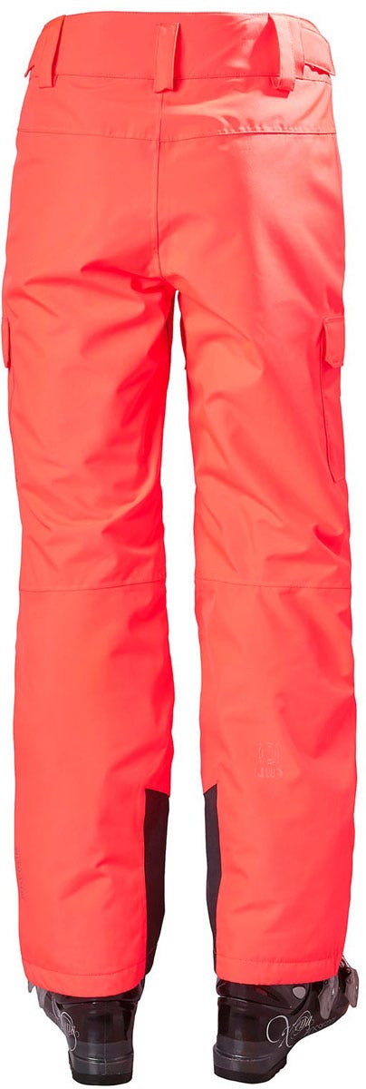 Helly hansen switch cargo pants on sale