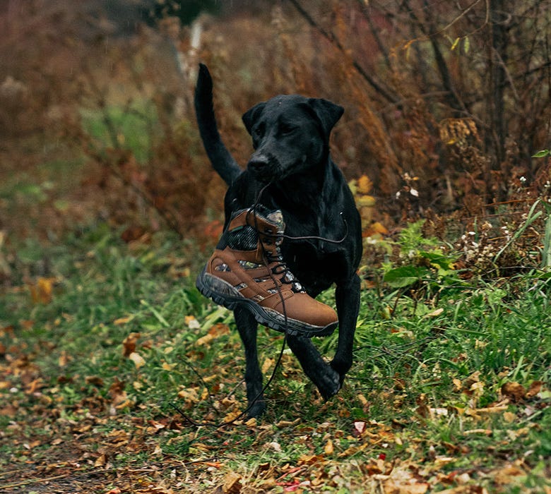 Hunting Boots