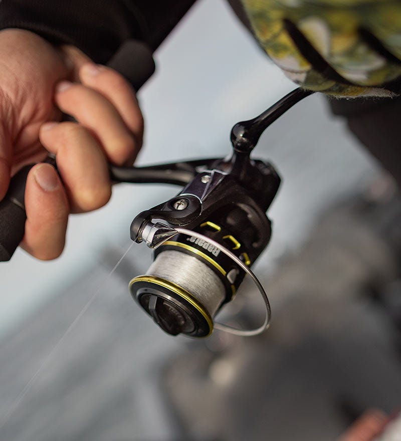 REELS